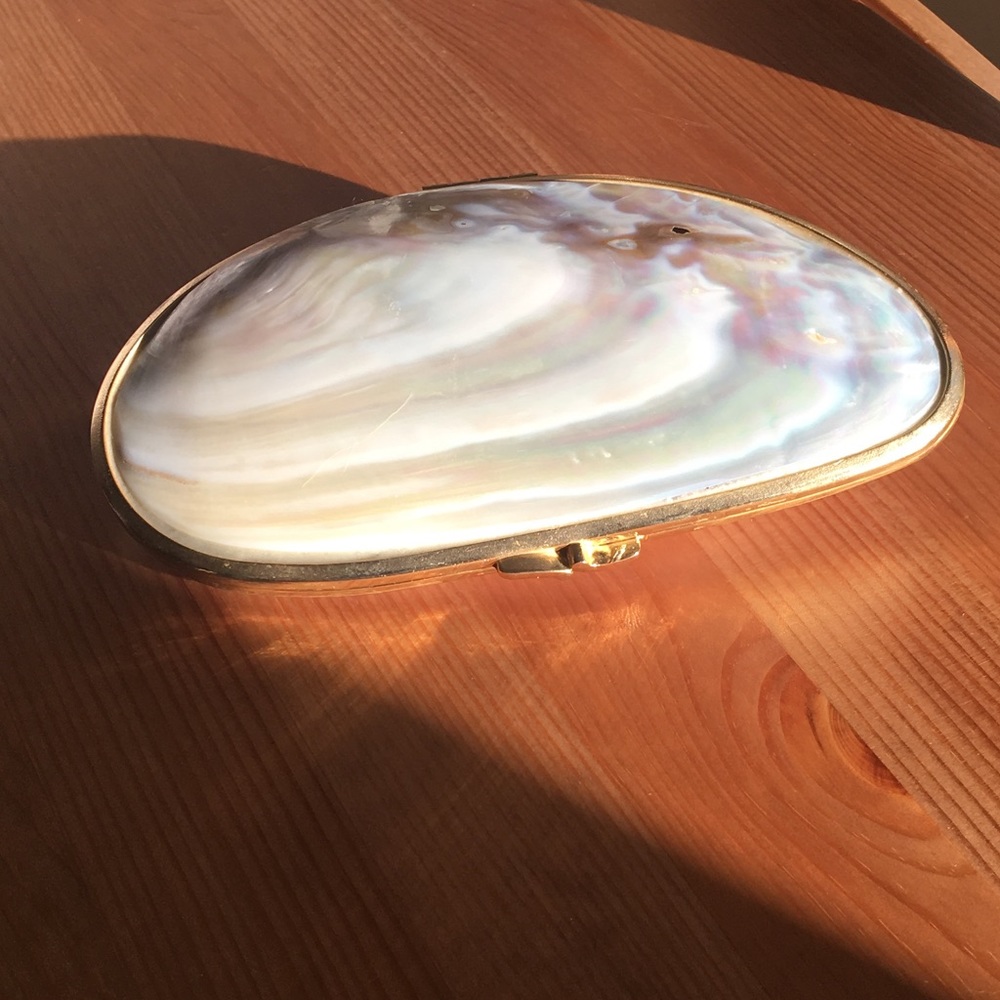 Mother of pearl seashell clutch